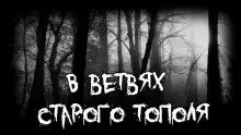 Обложка книги В ветвях старого тополя