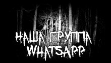 Обложка книги Наша группа WhatsApp