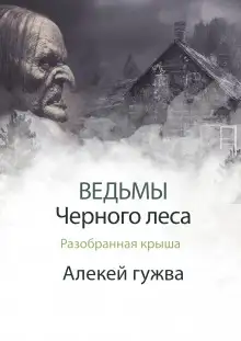 Обложка книги Разобранная крыша