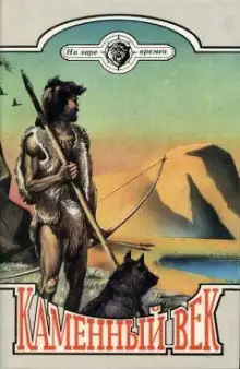 Обложка книги Каменный век