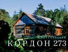 Обложка книги Кордон 273