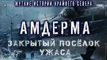 Обложка книги Амдерма