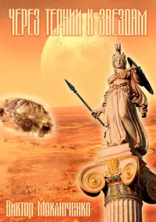 Обложка книги Через тернии к звездам