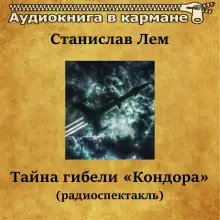 Обложка книги Тайна гибели «Кондора»‎