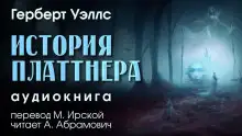 Обложка книги История Платтнера