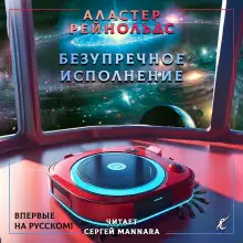 Обложка книги Безупречное исполнение
