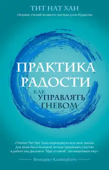 Обложка книги Практика радости. Как управлять гневом