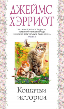 Обложка книги Олли и Жулька