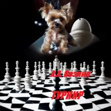 Обложка книги Турнир