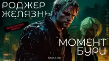 Обложка книги Момент бури
