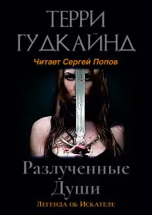 Обложка книги Разлучённые души