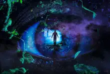 Обложка книги Парапсихология