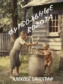 Обложка книги Футбольные ворота