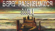 Обложка книги Берег разбившихся птиц
