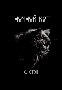 Обложка книги Ночной кот