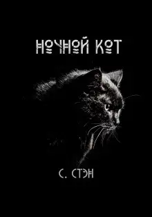 Обложка книги Ночной кот