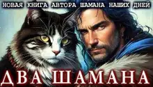 Обложка книги Два шамана