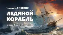 Обложка книги Ледяной корабль