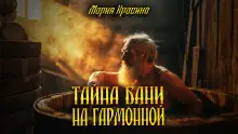 Обложка книги Тайна бани на Гармонной