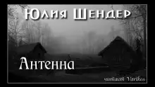 Обложка книги Антенна