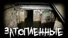 Обложка книги Затопленные