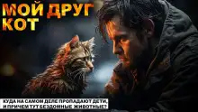 Обложка книги Мой друг Кот