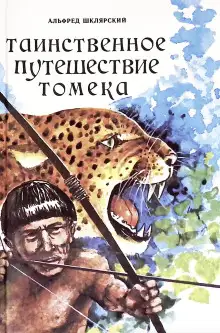 Обложка книги Таинственное путешествие Томека