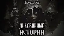 Обложка книги Диковинные истории