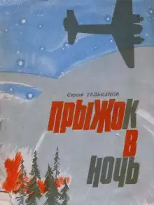 Обложка книги Прыжок в ночь