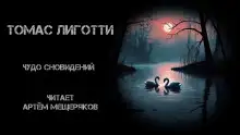 Обложка книги Чудо сновидений