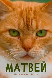 Обложка книги Матвей