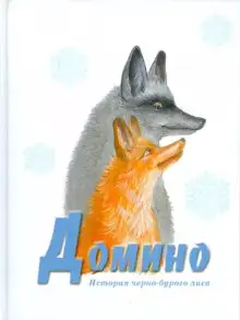 Обложка книги Домино