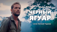 Обложка книги Черный ягуар