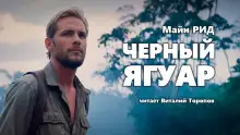 Обложка книги Черный ягуар