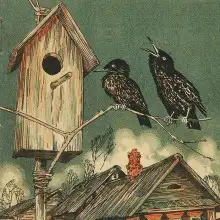 Обложка книги Скворцы