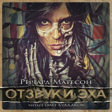 Обложка книги Отзвуки эха