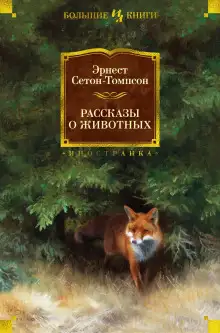 Обложка книги Буйный и Колючая Холка