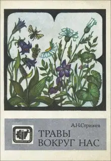 Обложка книги Травы вокруг нас