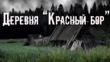 Обложка книги Деревня «Красный бор»