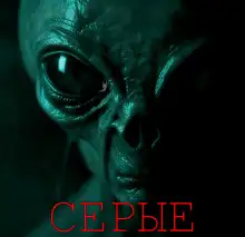 Обложка книги Серые