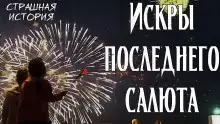 Обложка книги Искры последнего салюта