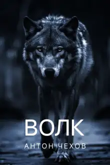 Обложка книги Волк