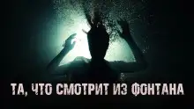 Обложка книги Та, что смотрит из фонтана