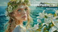 Обложка книги Совершенство