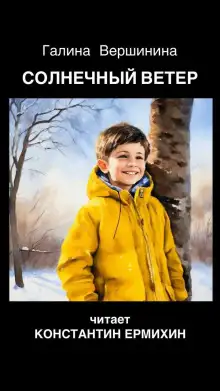Обложка книги Солнечный ветер