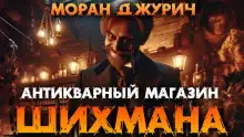Обложка книги Антикварный магазин Шихмана