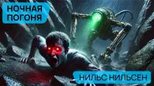 Обложка книги Ночная погоня