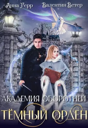 Обложка книги Темный орден