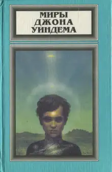 Обложка книги Хроноклазм