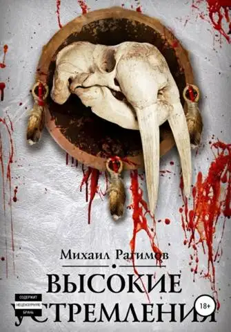 Обложка книги Высокие устремления